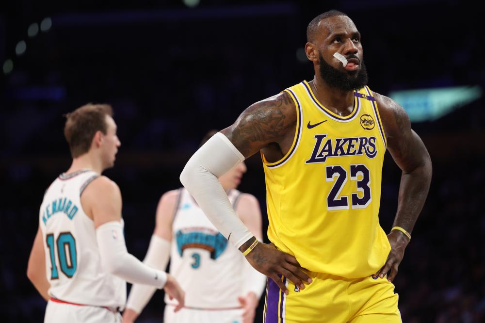 森的兴趣似 森的兴趣似