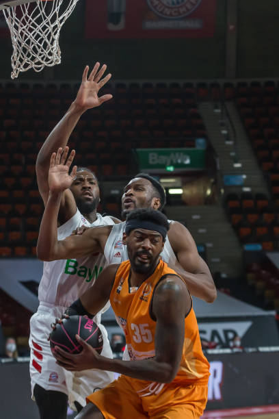 令人目不暇 令人目不暇